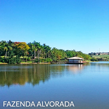 Fazenda Alvorada - Porto Feliz
