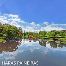 Haras Paineiras - Salto